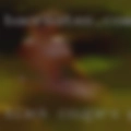 Black cougars pussy