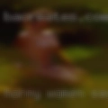 Horny women Saylorsburg