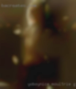 yoboynice Moultrie GA