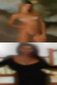 Housetrained USA for fuck and desexed.